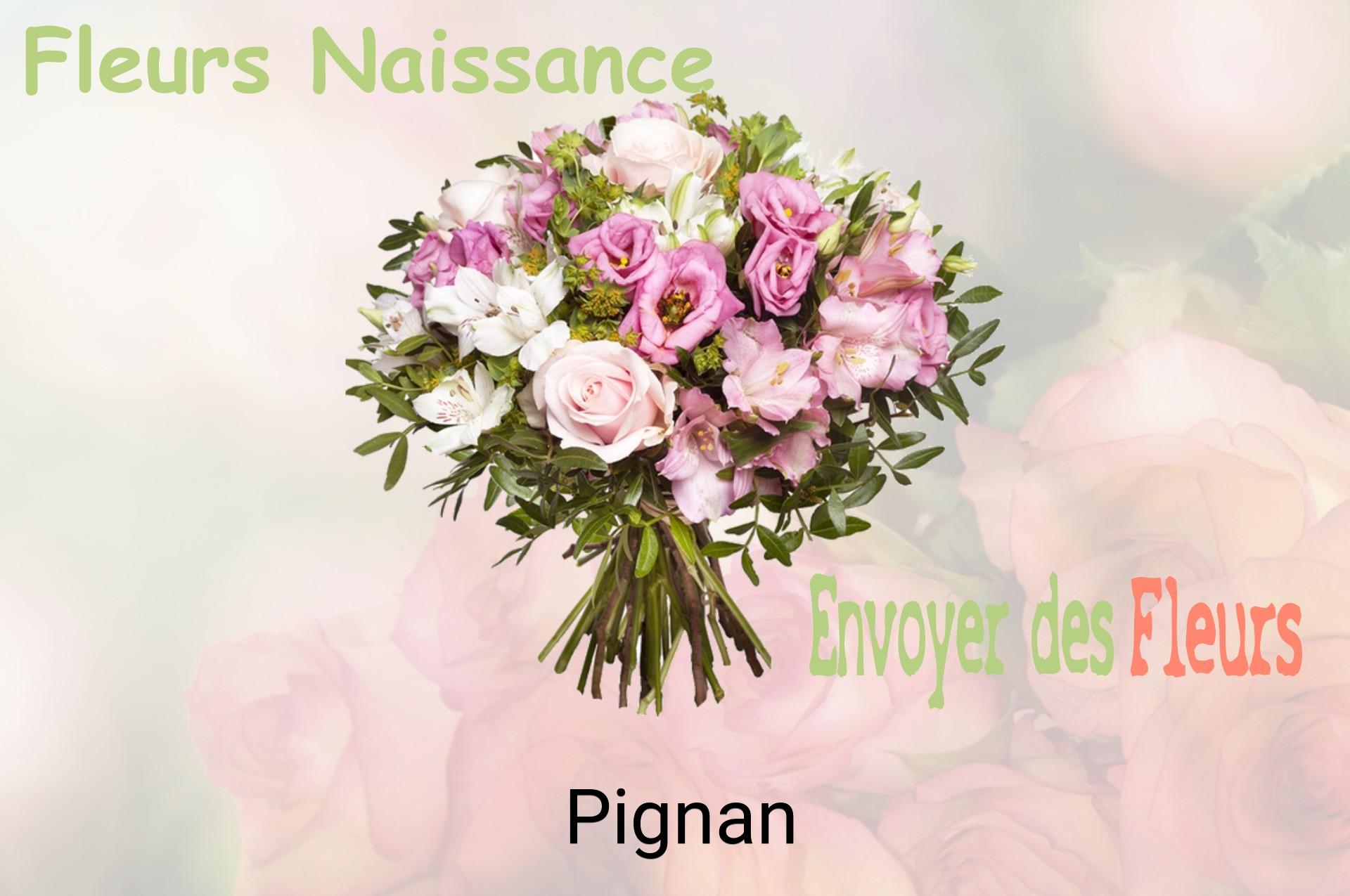 Bouquet de fleurs de naissance livré à Pignan